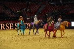 Quadrille - 00493